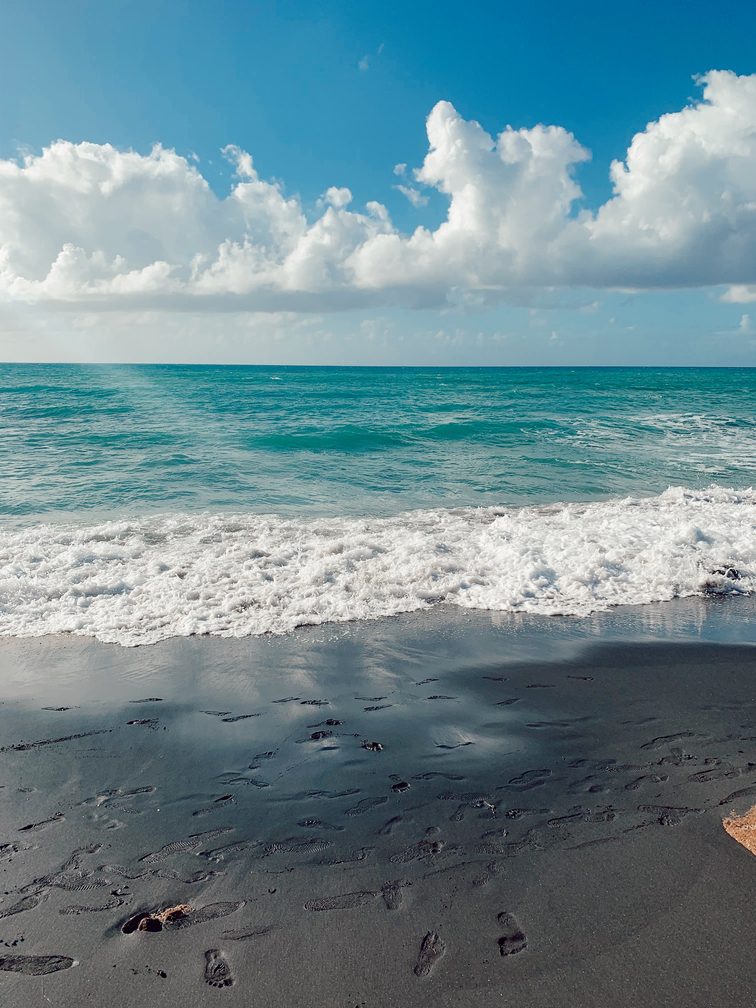 Descubre la Playa Negra, en Vieques, Puerto Rico