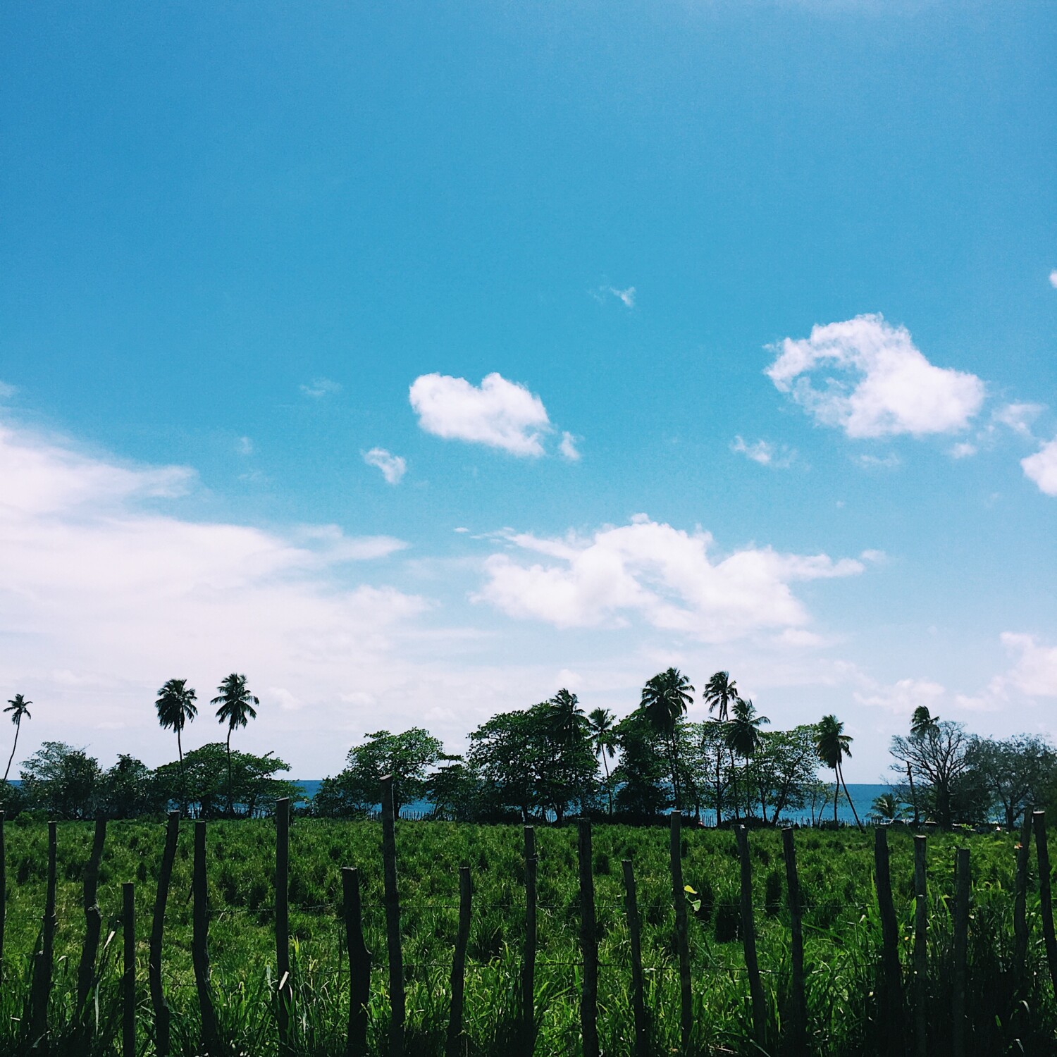 Playa Escaleras, Steps Beach, Rincón, Puerto Rico, oeste, isla, playas